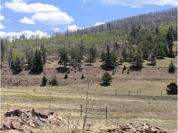 1670 Cary, Fort Garland, CO 81133
