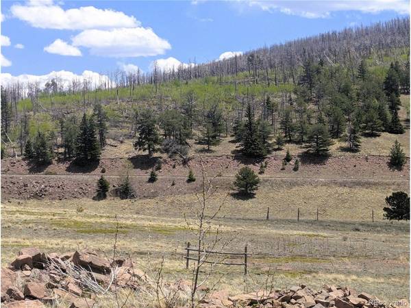 1670 Cary, Fort Garland, CO 81133