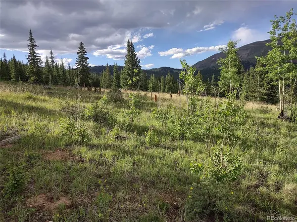 0 Snow Cap Peaks, Alma, CO 80402