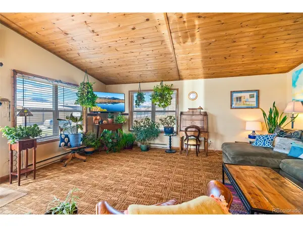 740 Castello, Fairplay, CO 80440