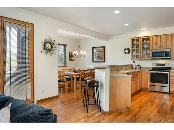 787 Mulligan #5, Fraser, CO 80442