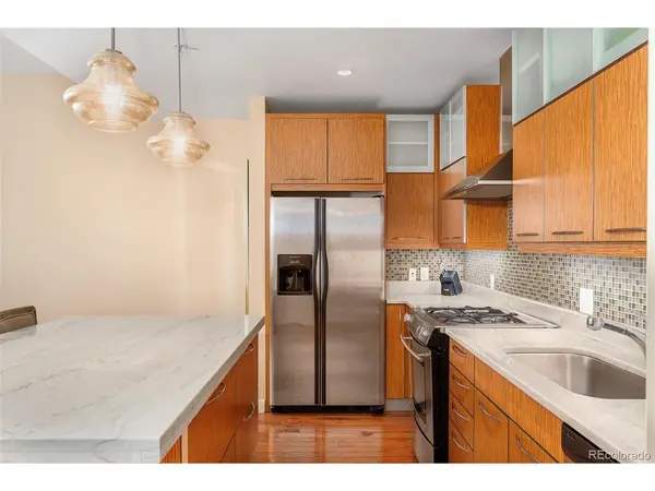 410 Acoma #203, Denver, CO 80204