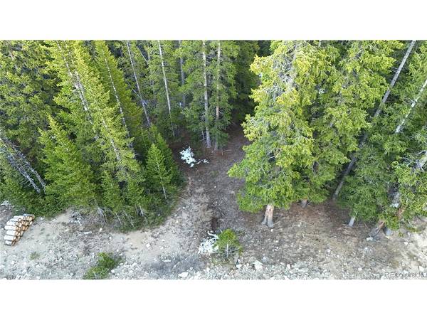 210 Silverheels, Fairplay, CO 80440