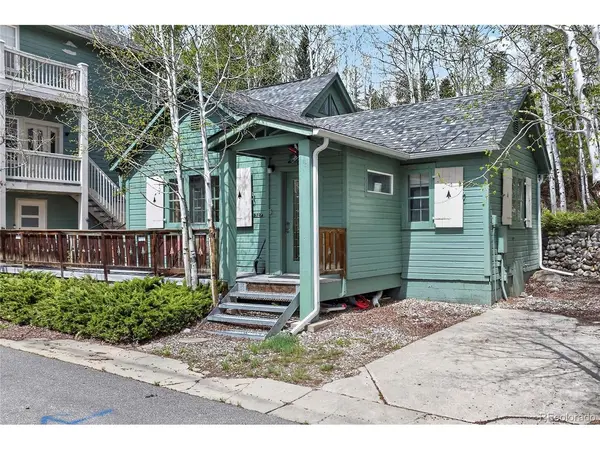327 Vasquez #E1, Winter Park, CO 80482