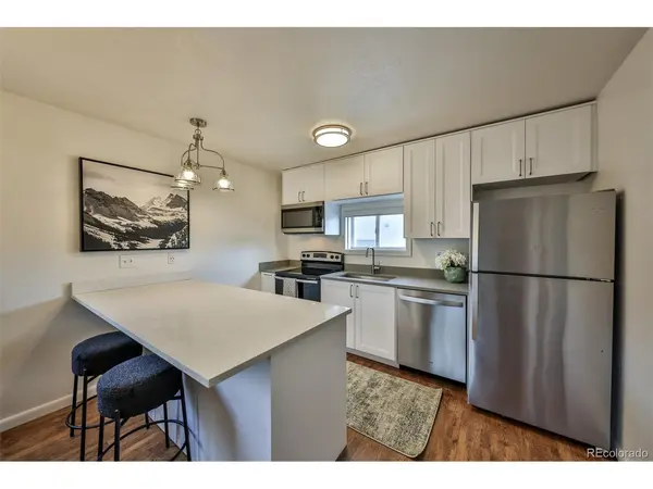 233 Fraser #R1, Fraser, CO 80442