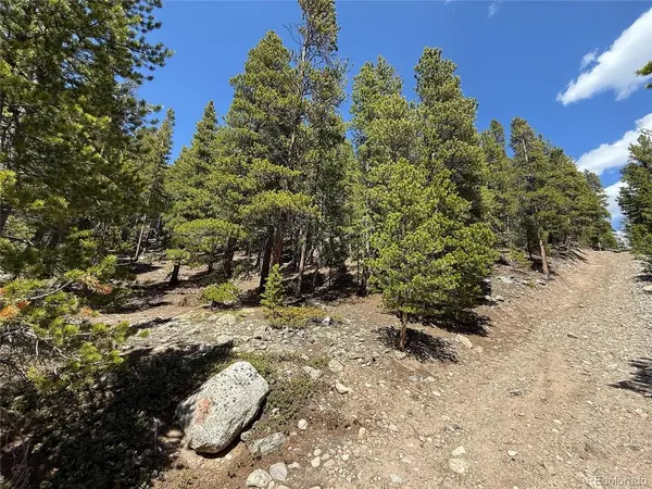 312 Vista, Idaho Springs, CO 80452