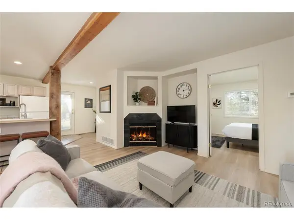 753 County Road 830 #B-1, Fraser, CO 80442