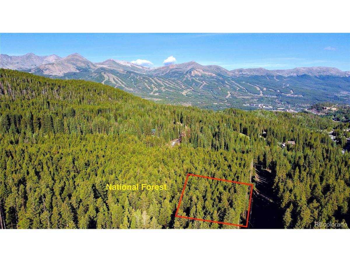 Address not disclosed, Breckenridge, CO 80424