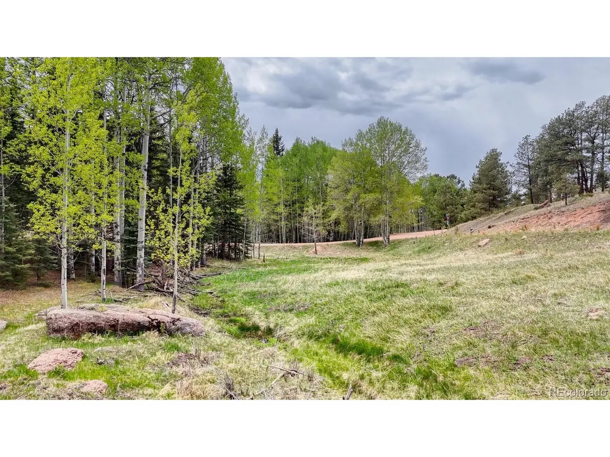 42 Rabbit, Florissant, CO 80816