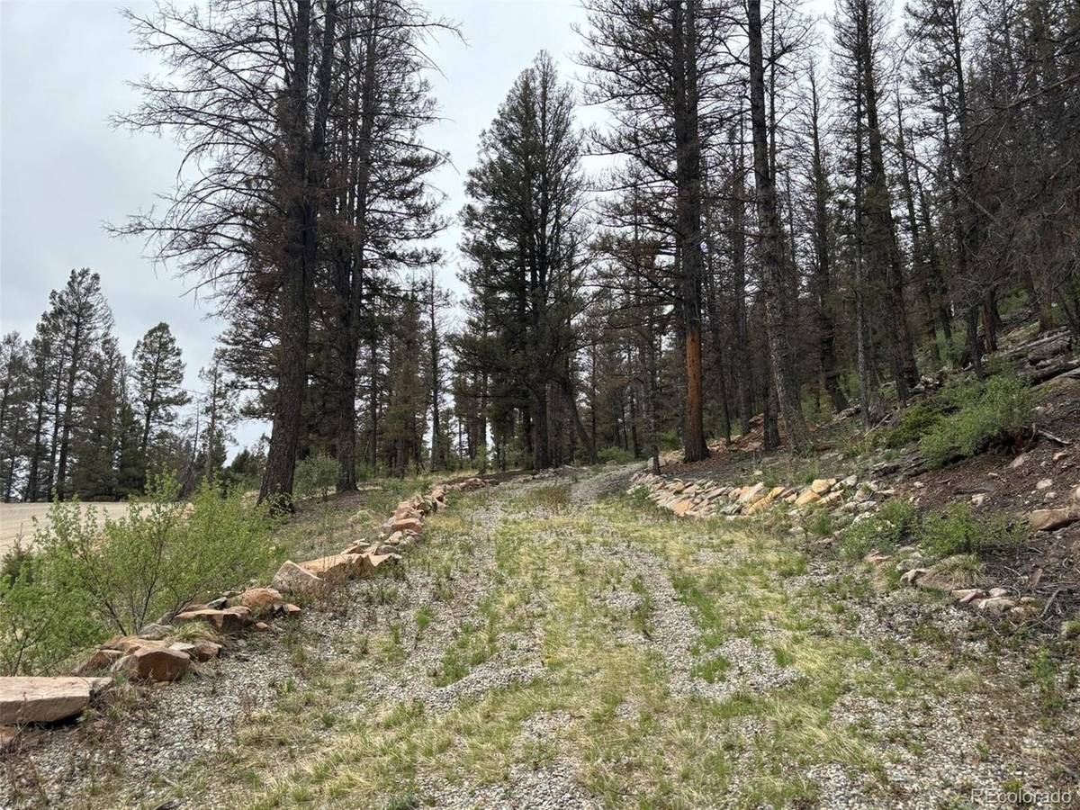 225 Trout Creek, Fairplay, CO 80440