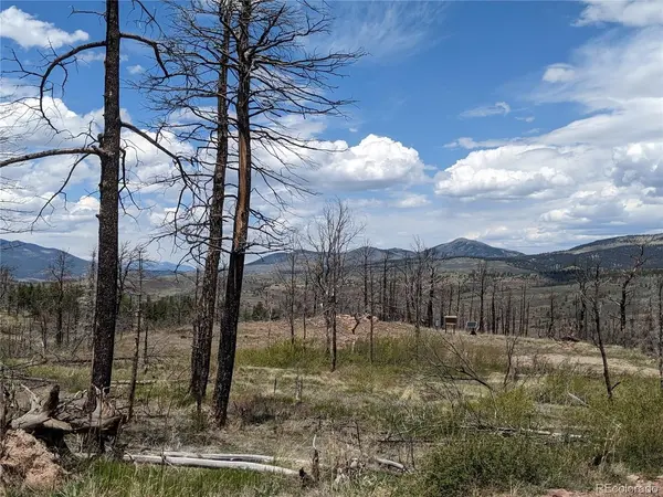415 Mulligan, Fort Garland, CO 81133