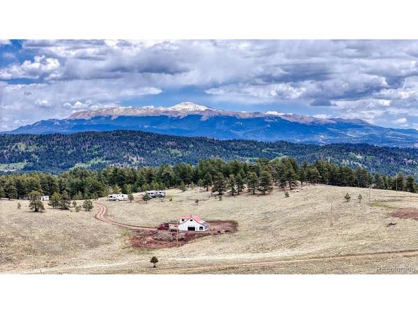 7 County Road 403, Florissant, CO 80816