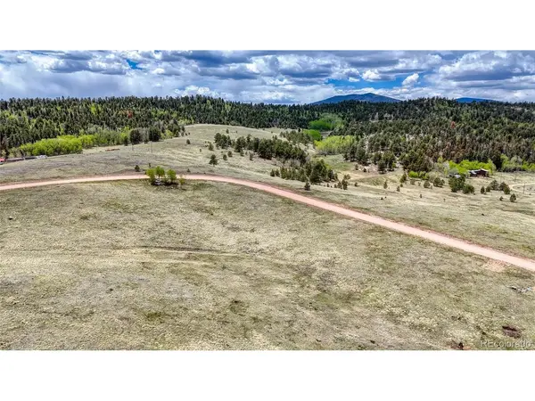 7 County Road 403, Florissant, CO 80816