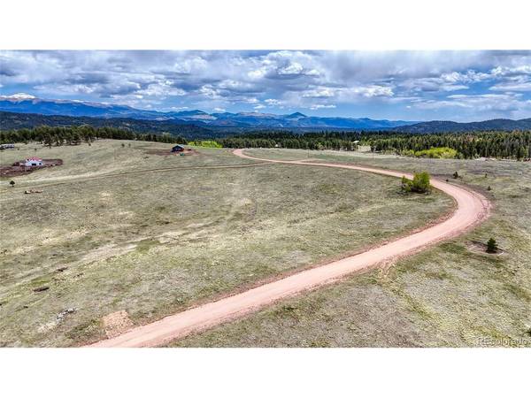 7 County Road 403, Florissant, CO 80816