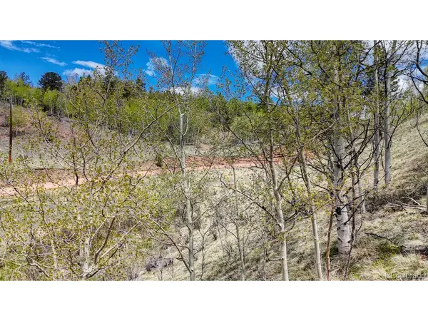 2031 Gold King, Cripple Creek, CO 80813