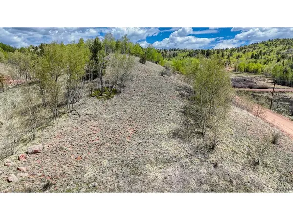 2031 Gold King, Cripple Creek, CO 80813