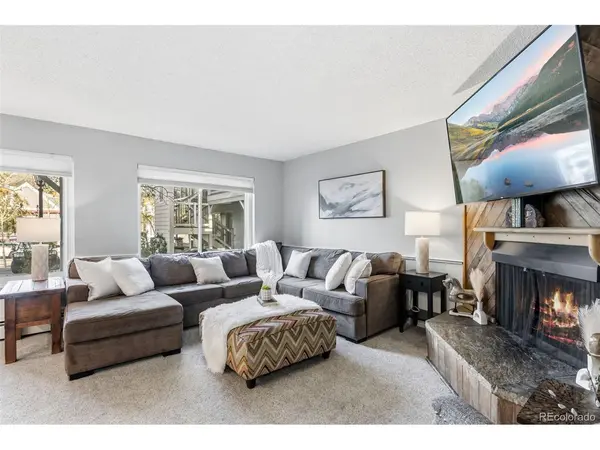 412 S Main #1A1, Breckenridge, CO 80424