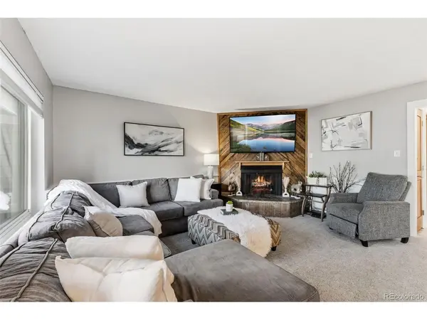 412 S Main #1A1, Breckenridge, CO 80424