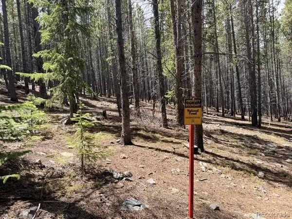 Address not disclosed, Breckenridge, CO 80424