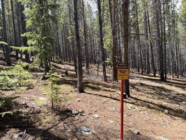 Address not disclosed, Breckenridge, CO 80424