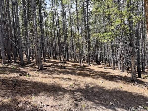 Address not disclosed, Breckenridge, CO 80424