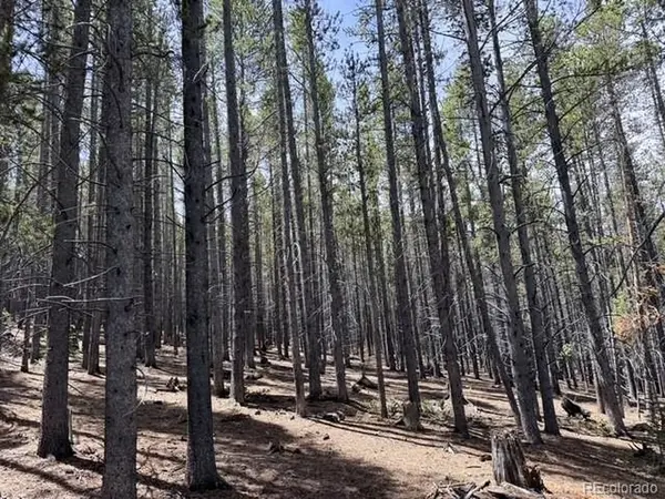 Address not disclosed, Breckenridge, CO 80424