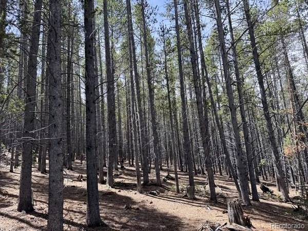 Address not disclosed, Breckenridge, CO 80424