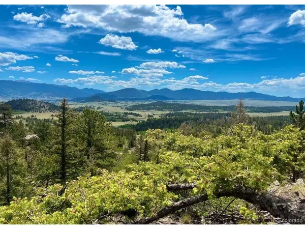 71 Red Cloud, Como, CO 80432