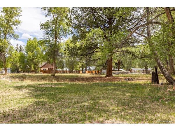 Address not disclosed, Buena Vista, CO 81211