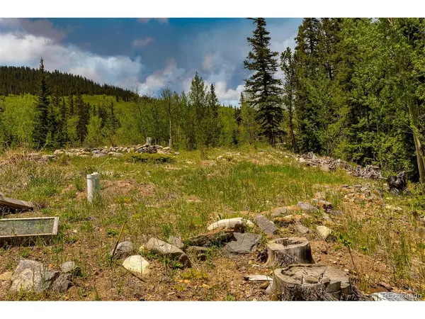 522 Quartzville, Alma, CO 80420