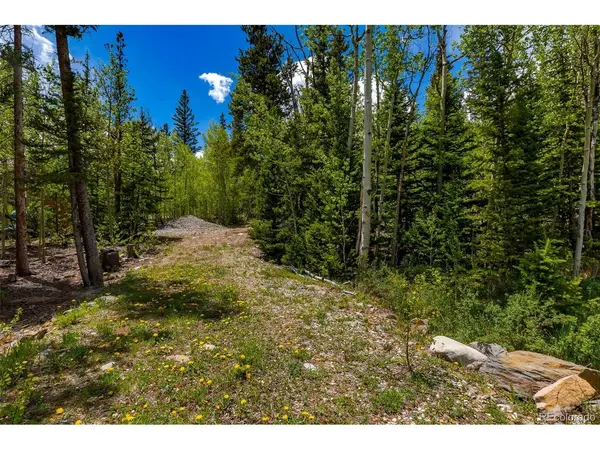 522 Quartzville, Alma, CO 80420
