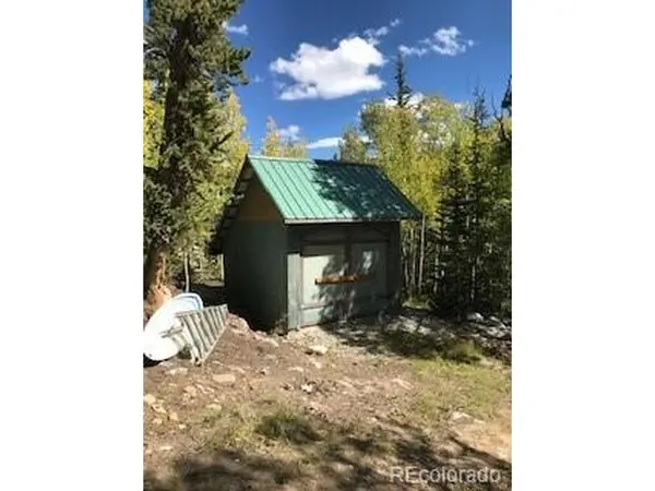 522 Quartzville, Alma, CO 80420
