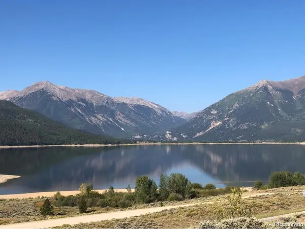 6296 County Road 10, Twin Lakes, CO 81251