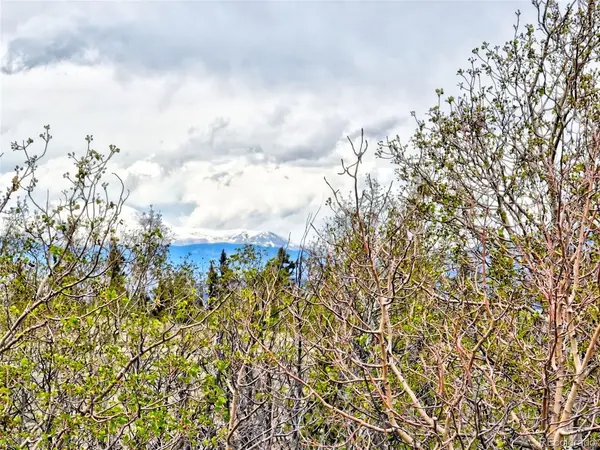 71 Mallard, Como, CO 80432