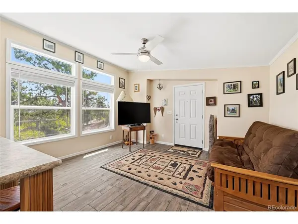 291 Bandolier, Hartsel, CO 80449