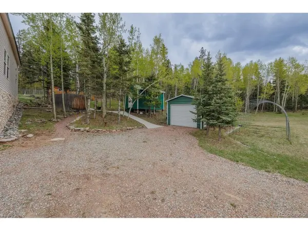 124 Bear, Lake George, CO 80827