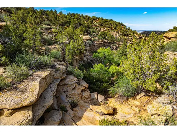 Bandito, Florence, CO 81226