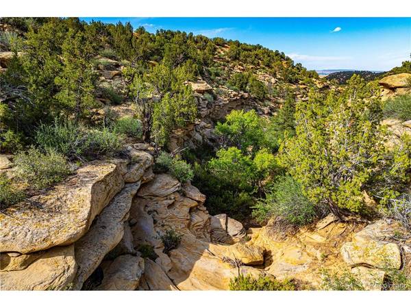 Bandito, Florence, CO 81226