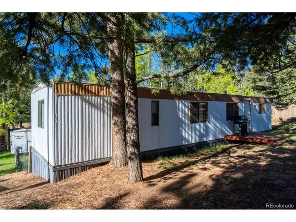 310 Blossom, Woodland Park, CO 80863