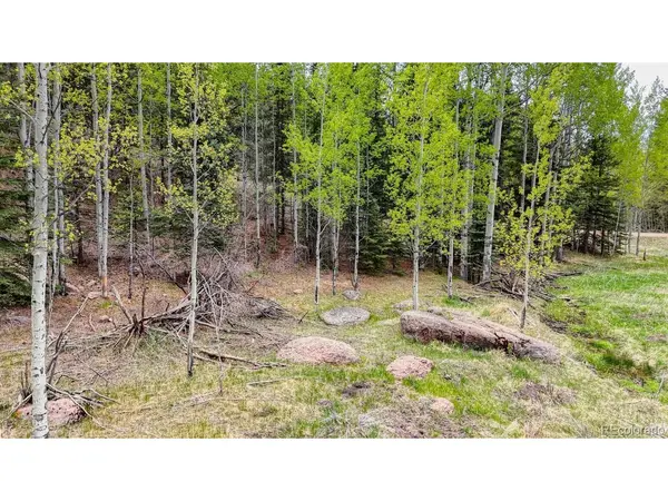 42 Rabbit, Florissant, CO 80816