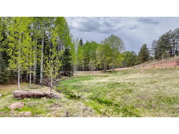 42 Rabbit, Florissant, CO 80816