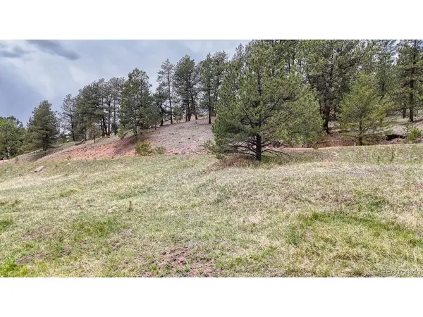 42 Rabbit, Florissant, CO 80816