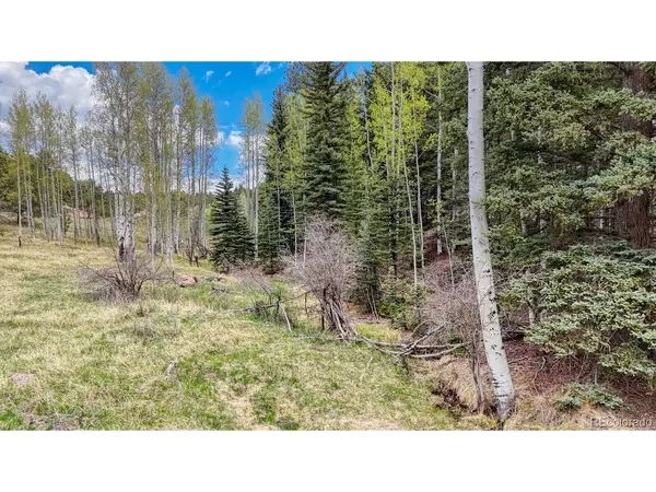 42 Rabbit, Florissant, CO 80816