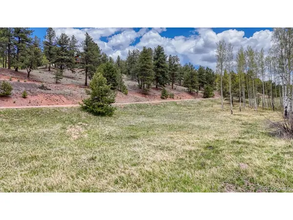 42 Rabbit, Florissant, CO 80816