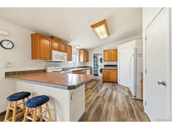 20300 Old Ranch, Nathrop, CO 81236