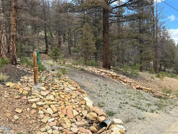 225 Trout Creek, Fairplay, CO 80440