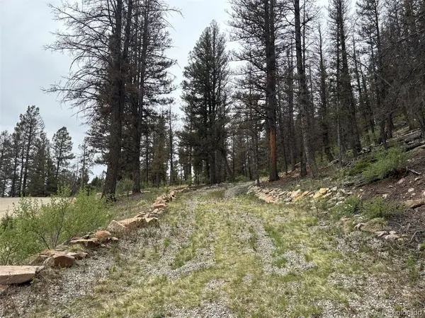 225 Trout Creek, Fairplay, CO 80440