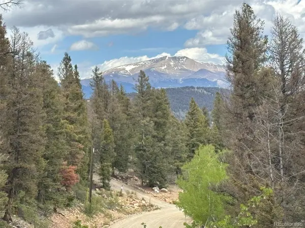 225 Trout Creek, Fairplay, CO 80440