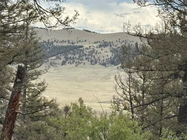 225 Trout Creek, Fairplay, CO 80440