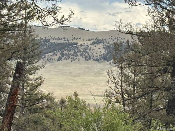 225 Trout Creek, Fairplay, CO 80440